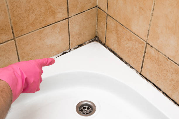 Best Mold Testing  in Goodview, MN